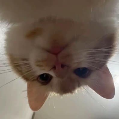Esee profile picture